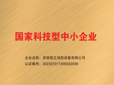 国家科技型中小企业